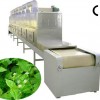 microwave deinsectization& sterilization equipment