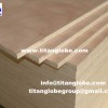 Commercial Plywood