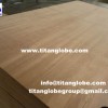 Commercial Plywood