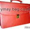 new style briefcase
