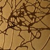 Etched Stainless Steel Sheet 304