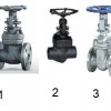 gate valve