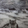 Excellent Function Color And Black-White Laser Printing Film