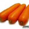 Beta-Carotene/CAS7235-40-7