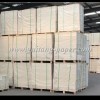 Sell wood free paper for printing
