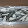 Sell frozen mackerel HGT
