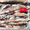 Sell Japanese flying squid