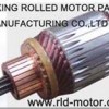 armature-Jiaxing Rolled Motor Parts