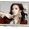 LCD Monitor Application in Multi-Media 