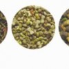 fish feed processing line