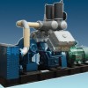  Oil Free Lubrication Air Compressor