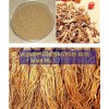 Angelica Extract