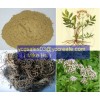 Valerian Root Extract