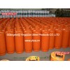 LPG cylinder for South America