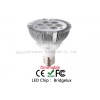 LED PAR Light