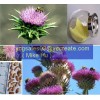 Milk Thistle P.E.