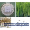 Salicin 98%, natural extact