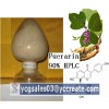 Puerarin 90%, natural extract