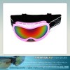 snowboard goggles anti-fog