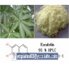 Esculetin 98%, natural extract
