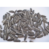 new chinese sunflower seeds