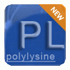 ε-Polylysine