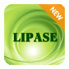 Lipase