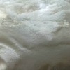 Prednisolone Acetate