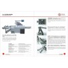 MJ45 Sliding Table Saw
