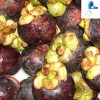 100% Natural Mangosteen Extract