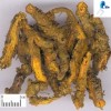 100% Natural Coptis Chinensis Extract