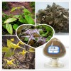 Epimedium Extract