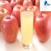 High Quality Apple juice powder  100% Natural