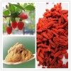 Wolfberry Extract Polysaccharides