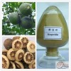 Citrus Aurantium Extract