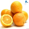 Orange Peel Extract Hesperidin 98%