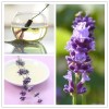 Natural Lavender Floral Water