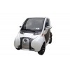 Electric Cars and Gasoline 3-wheel Cars