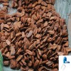 Pine Bark Extract Procyanidine 95%