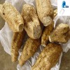 Puerarin Extract Kudzu root brass  40%