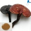 Ganoderma Extract