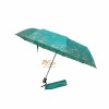 Folding Umbrella for gifts
