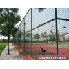 Wire mesh  fence