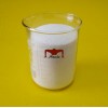 Mesterolone (Proviron) (Steroids)