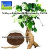 Kudzu Extract(Puerarin,Isoflavones)