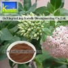 Radix Notoginseng Extract(Notoginsenosides)