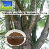 White Willow Bark Extract (10%-98%Salicin)