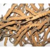 Cordyceps Sinensis Extract-Polysaccharides & Cordycepic acid