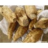 Ashwagandha Extract