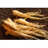 Natural 10~80% Ginsenoside Ginseng Extract